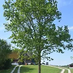 Der Historische Silberhof Von 1856 Holiday home Pellworm