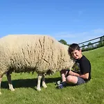 Der Historische Silberhof Von 1856 * Pellworm
