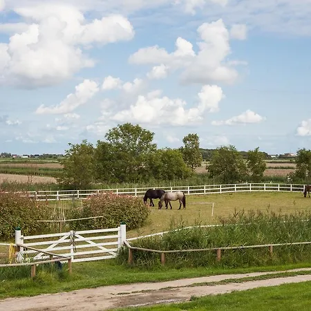 Der Historische Silberhof Von 1856 * Pellworm