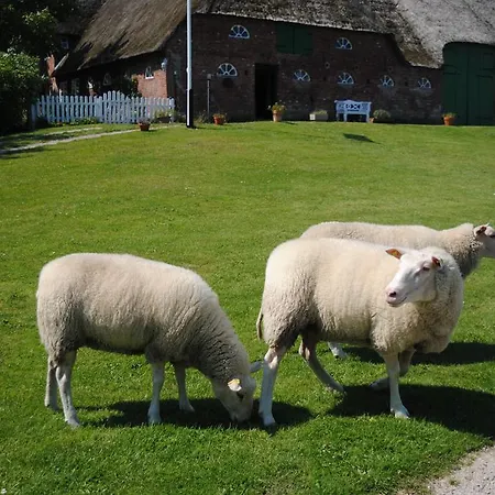 Der Historische Silberhof Von 1856