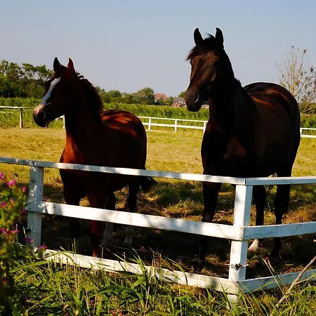 Der Historische Silberhof Von 1856 *