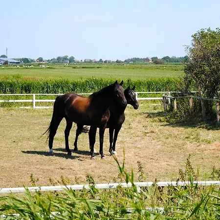 Der Historische Silberhof Von 1856 Prázdninový dům *