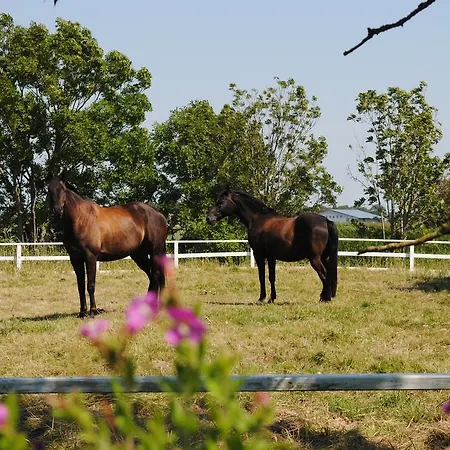 Prázdninový dům Der Historische Silberhof Von 1856 Pellworm