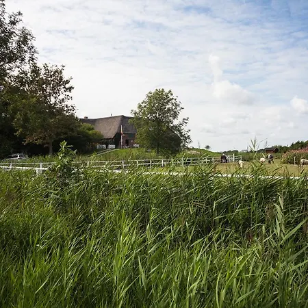 Der Historische Silberhof Von 1856