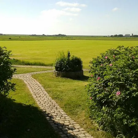 Der Historische Silberhof Von 1856 Pellworm