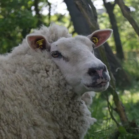 Prázdninový dům Der Historische Silberhof Von 1856