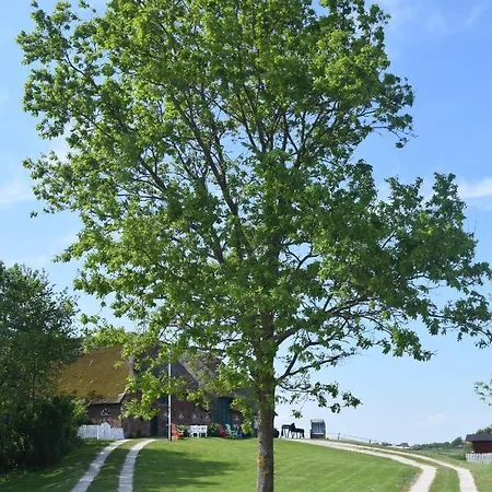 Der Historische Silberhof Von 1856 Prázdninový dům Pellworm