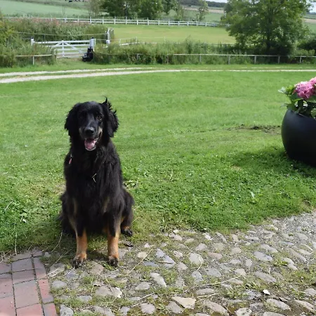 Prázdninový dům Der Historische Silberhof Von 1856 *