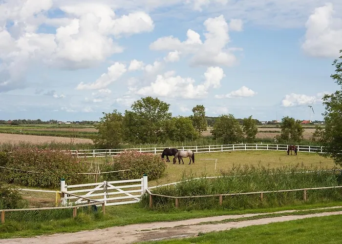 Der Historische Silberhof Von 1856 * Pellworm