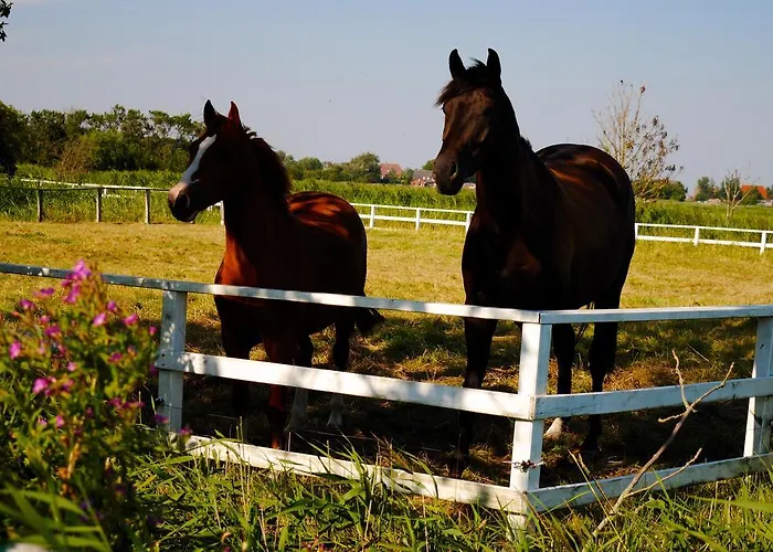 Der Historische Silberhof Von 1856 *