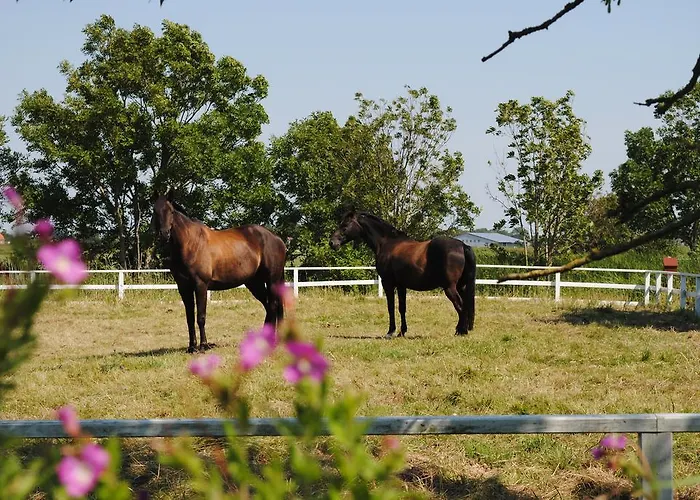Ferienhaus Der Historische Silberhof Von 1856 Pellworm