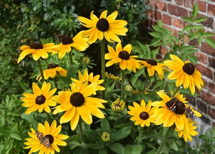 Der Historische Silberhof Von 1856 Pellworm