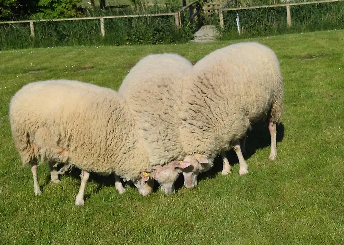 Der Historische Silberhof Von 1856 Casa vacanze *
